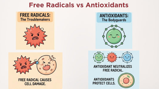 Free Redicals vs Antioxidants