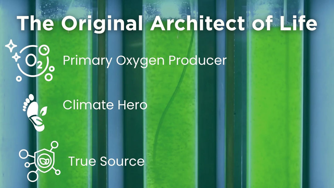 The original architect of life