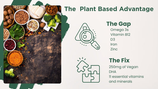 The Plant Best Advantage