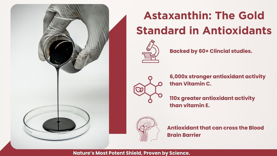 What Is Astaxanthin