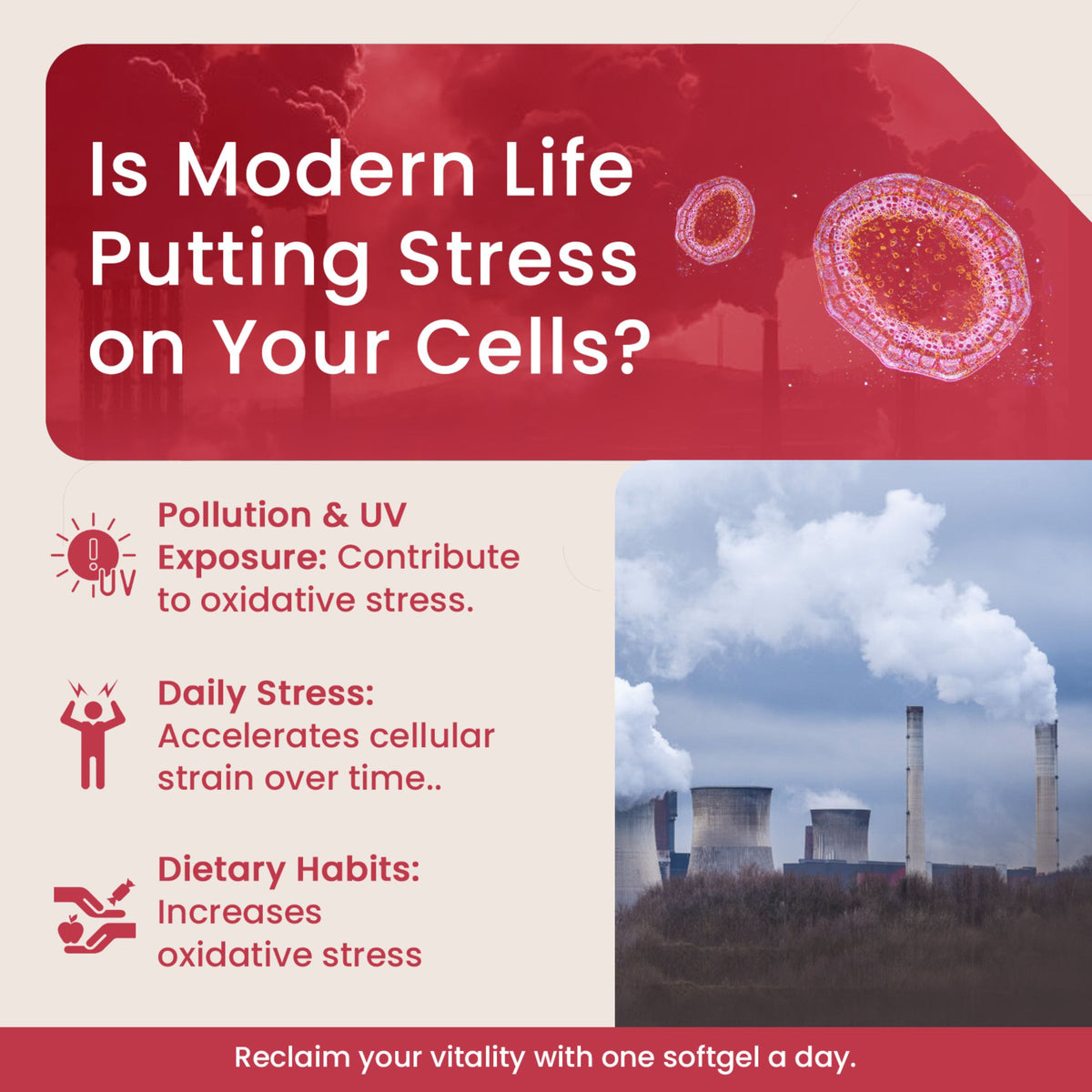Cellular Defense