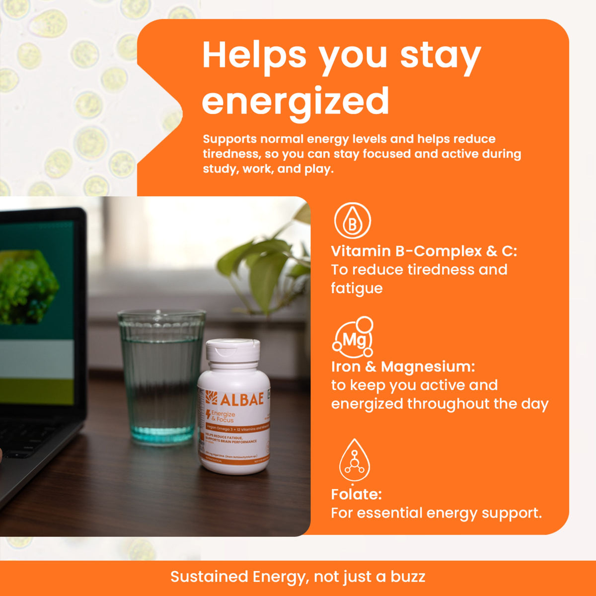 Energize & Focus