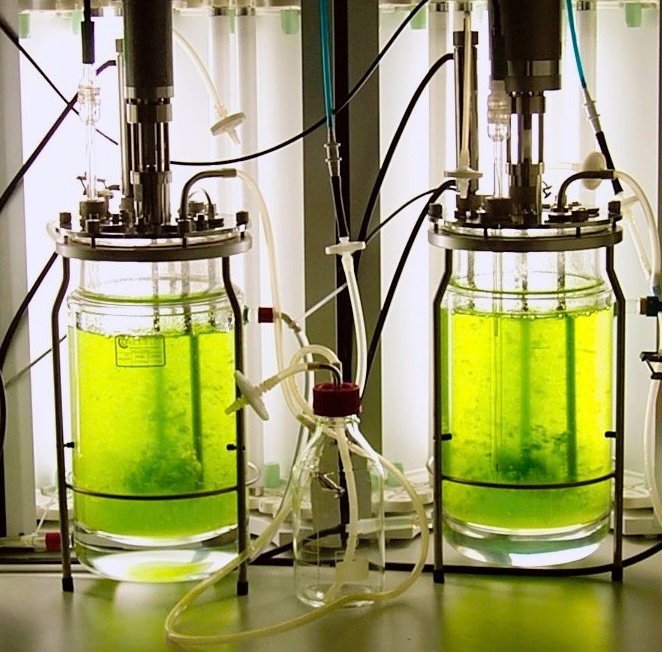 ef bioreactor